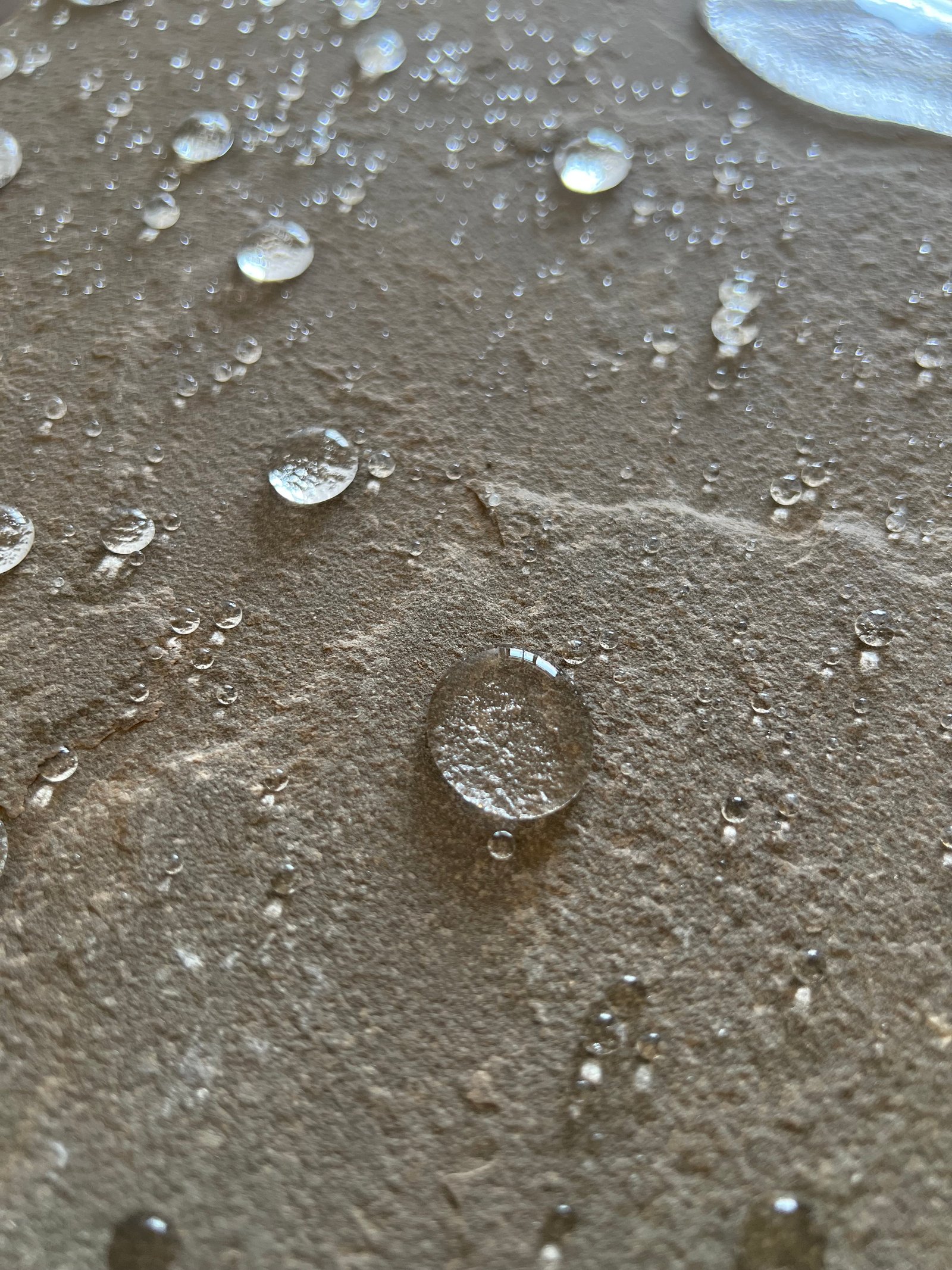 Invisible Sealer & Stain Protector